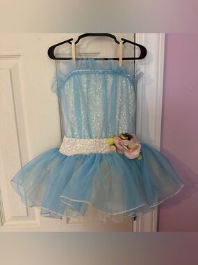 Sequin Tulle Costume Dress